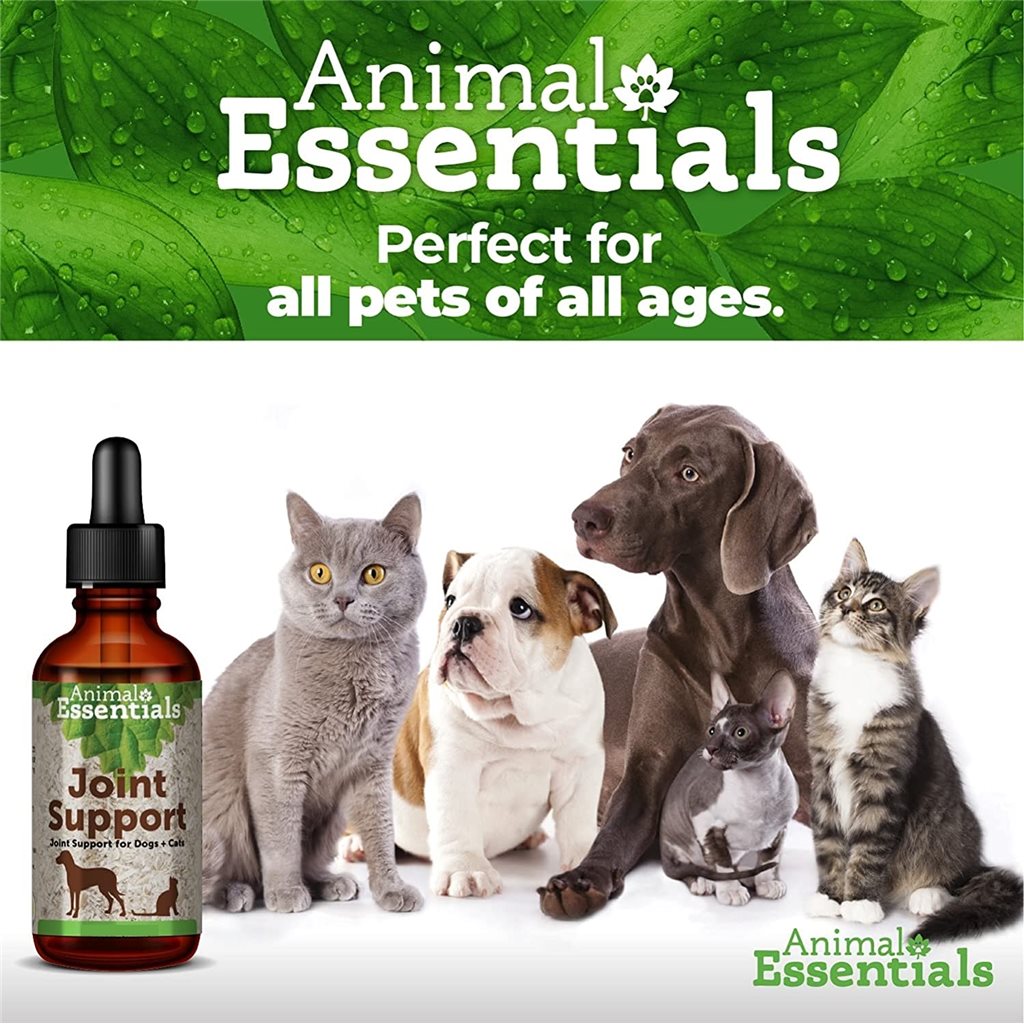 Animal Essentials - Joint Support (Alfalfa / Yucca Blend) 治療養生草本系列 - 關節治療保養配方 2oz - 缺貨中