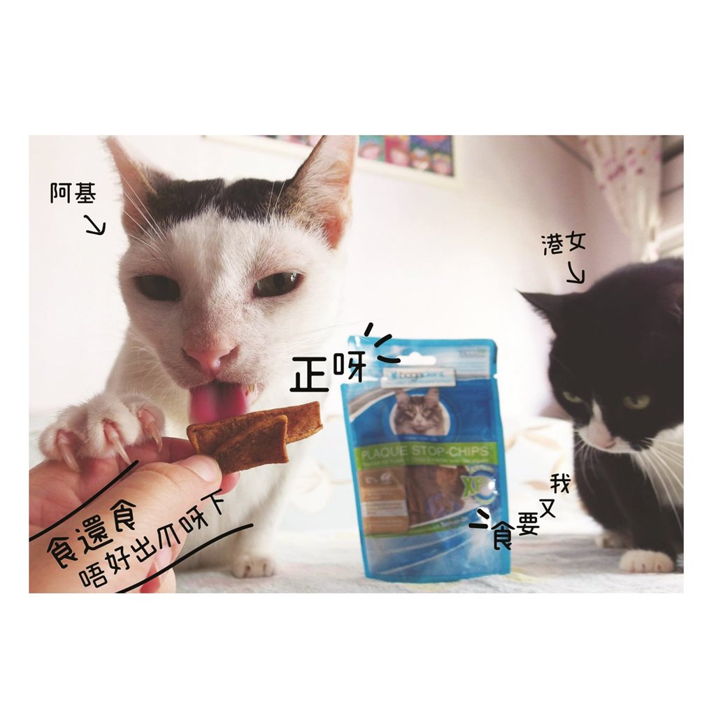 bogadent® Plaque Stop Chips Cat (Fish) 天然海藻除牙石小食 (魚) 50g (貓用) ~ EXP 11/2022
