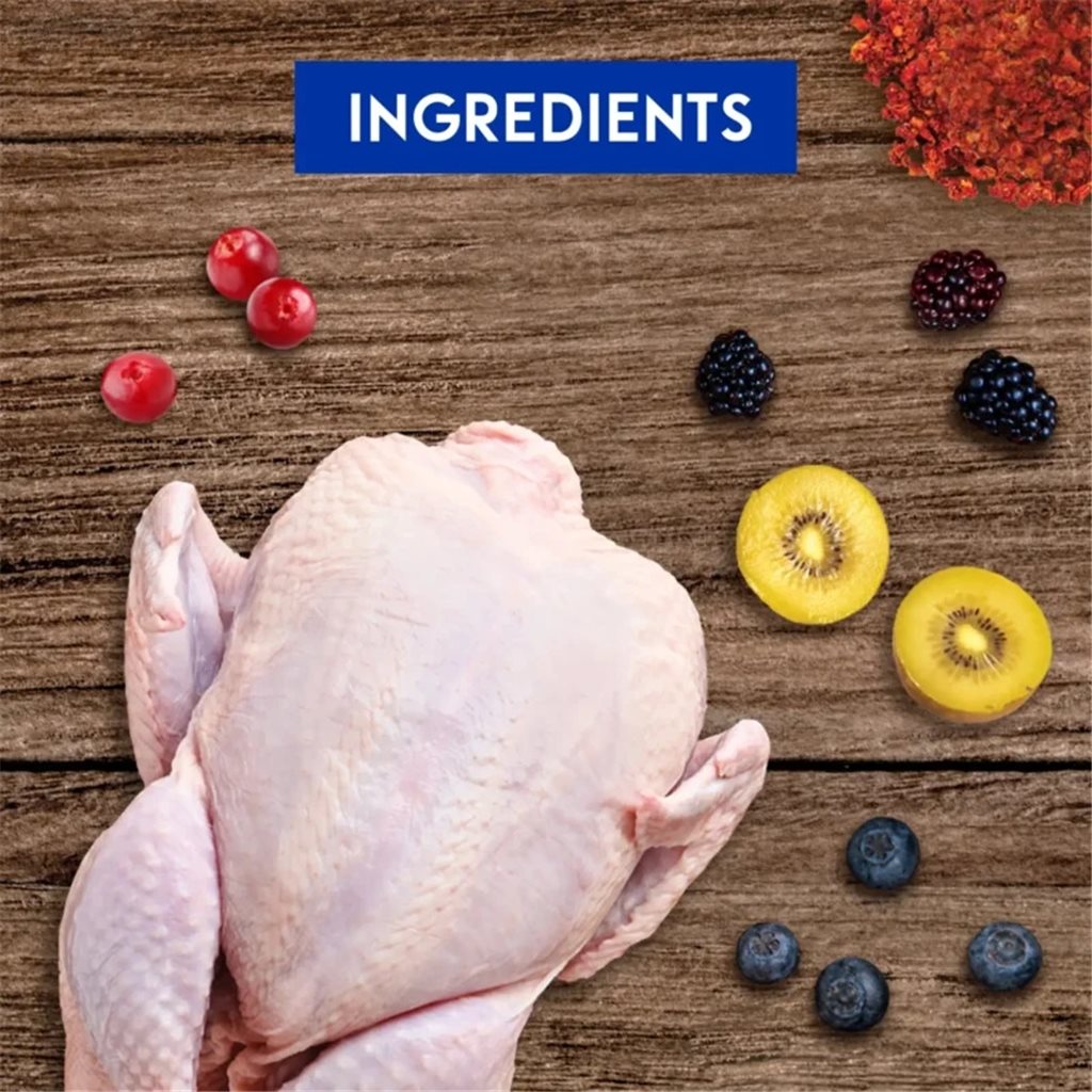 Animalkind - Freeze-Dried Raw Dog Treats Turkey & Berries 火雞和野莓配方 85g (狗)